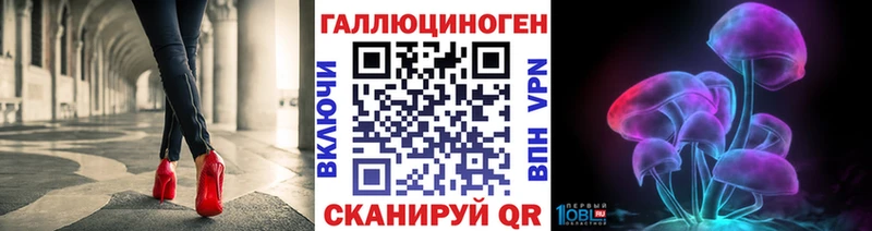 ссылка на мегу зеркало Канаш Псилоцибиновые грибы Psilocybe
